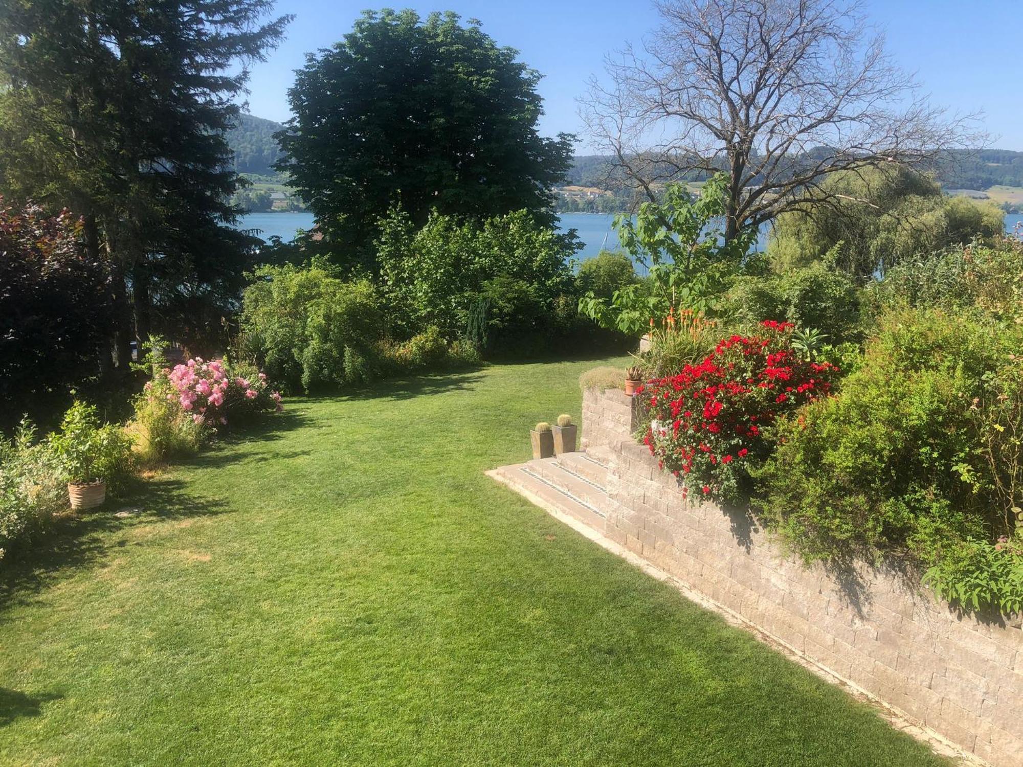 Mit Blick Auf Den Apartment